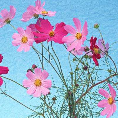 m6米乐网页版登录入口app下载